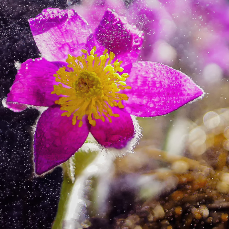 Михаил Корнев, участник фотоконкурса РГО "Самая красивая страна" Михаил Корнев, участник фотоконкурса РГО "Самая красивая страна"