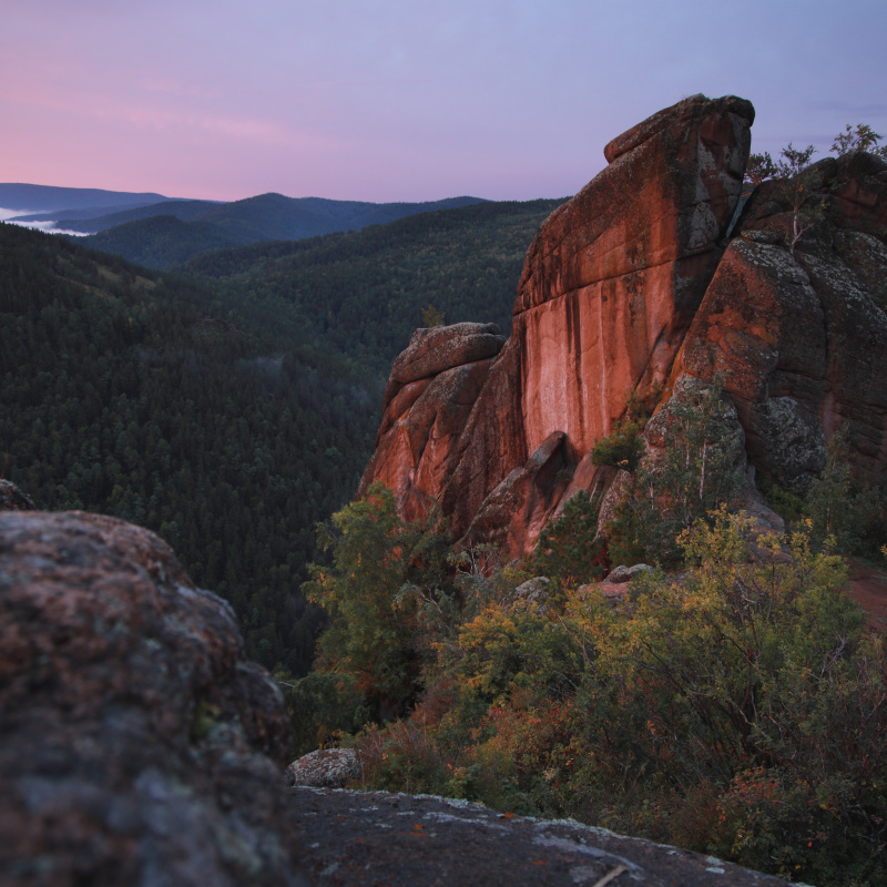 Утренний Могол