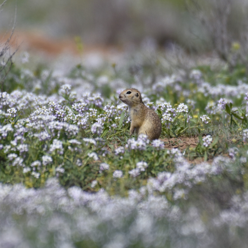 Алена Рыжова, участница фотоконкурса РГО "Самая красивая страна" Алена Рыжова, участница фотоконкурса РГО "Самая красивая страна"