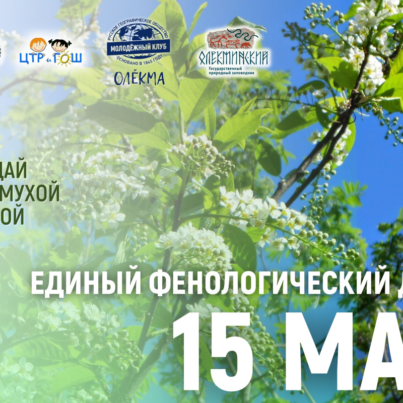 Юлия_Энес Юлия_Энес