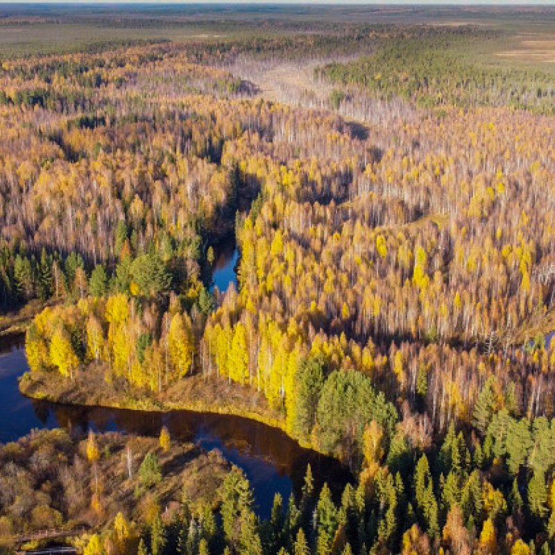Дарья Штейникова, участник фотоконкурса РГО "Самая красивая страна"