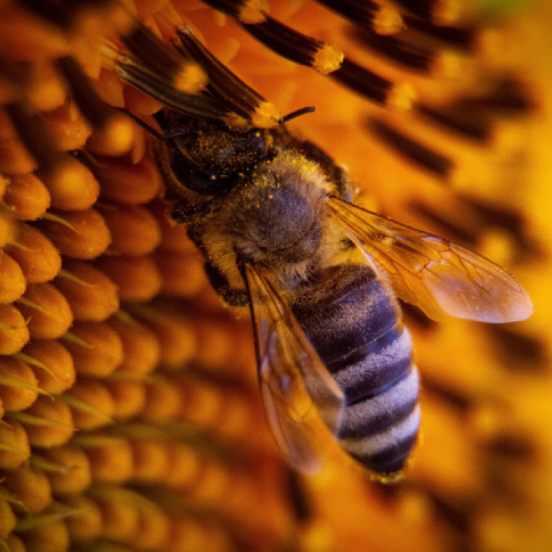 Полина Германова, участник фотоконкурса РГО "Самая красивая страна" Полина Германова, участник фотоконкурса РГО "Самая красивая страна"