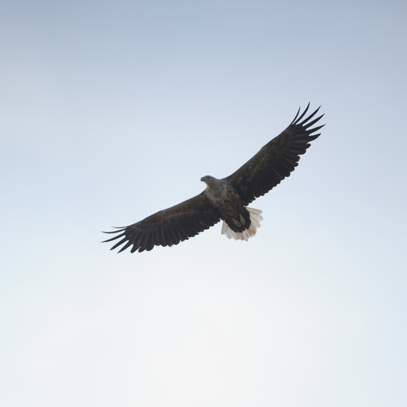 Арсений Арлюков