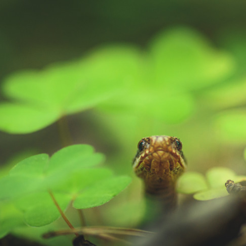 Дмитрий Иванов, участник фотоконкурса РГО "Самая красивая страна"