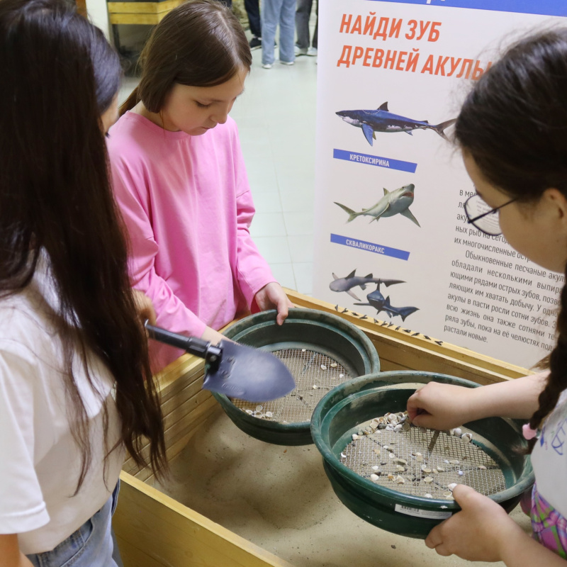 Юные исследователи Юные исследователи Летней школы "Югра. Экология. Таланты"
