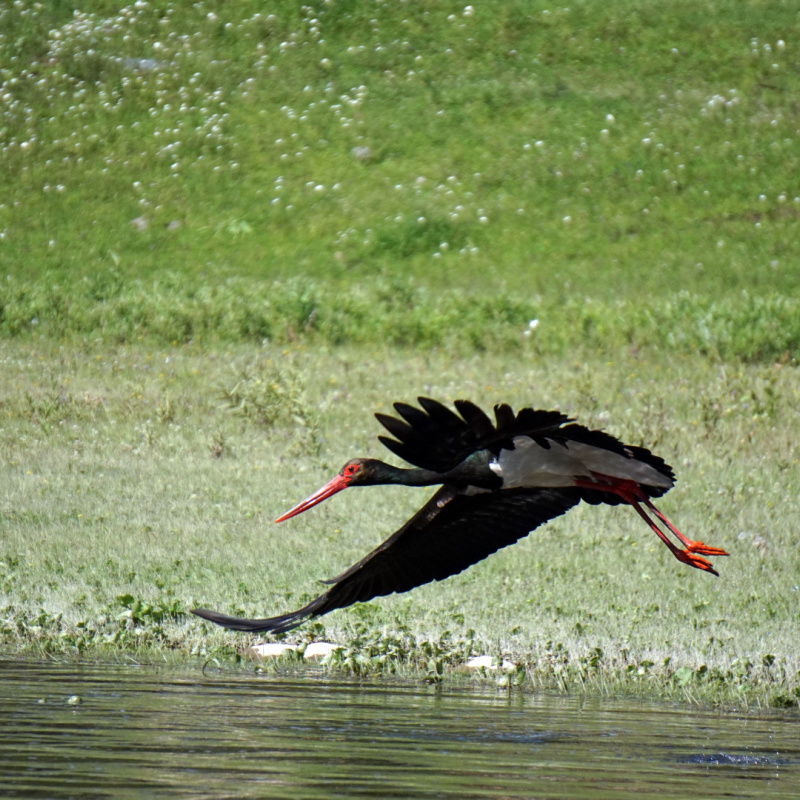 Владимир Надеждин, участник фотоконкурса РГО "Самая красивая страна" Владимир Надеждин, участник фотоконкурса РГО "Самая красивая страна"