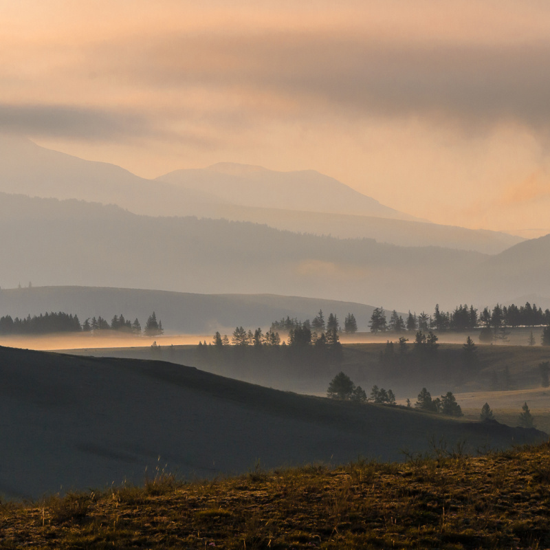 Курай на рассвете