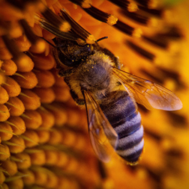 Полина Германова, участник фотоконкурса РГО "Самая красивая страна" Полина Германова, участник фотоконкурса РГО "Самая красивая страна"