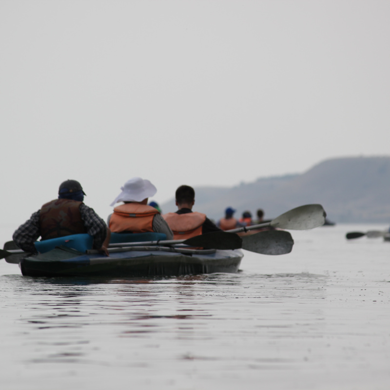 Тематический слёт молодёжных клубов РГО в Волгоградской области