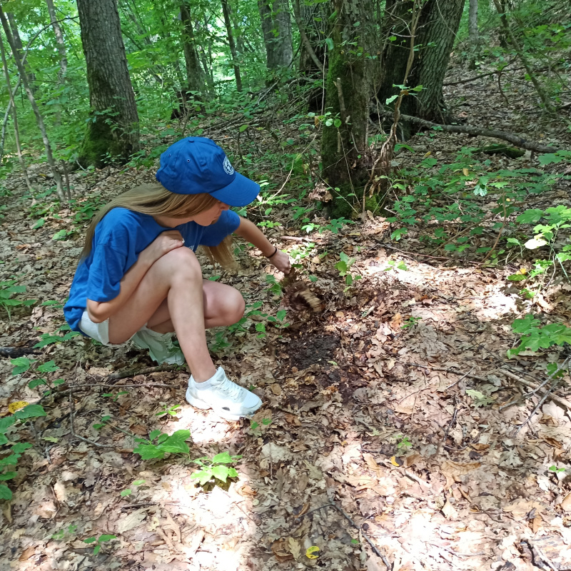 работа в экспедиции работа в экспедиции