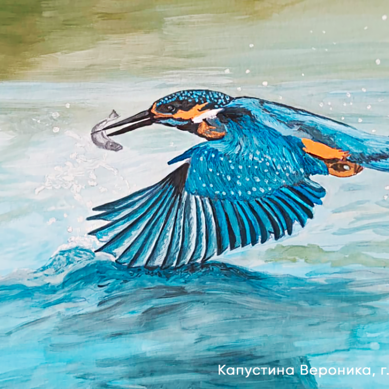 Конкурс «Пернатые Крыма»