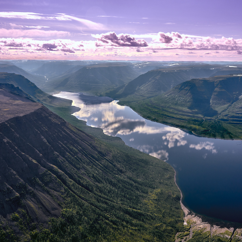 Максим Зверев Максим Зверев