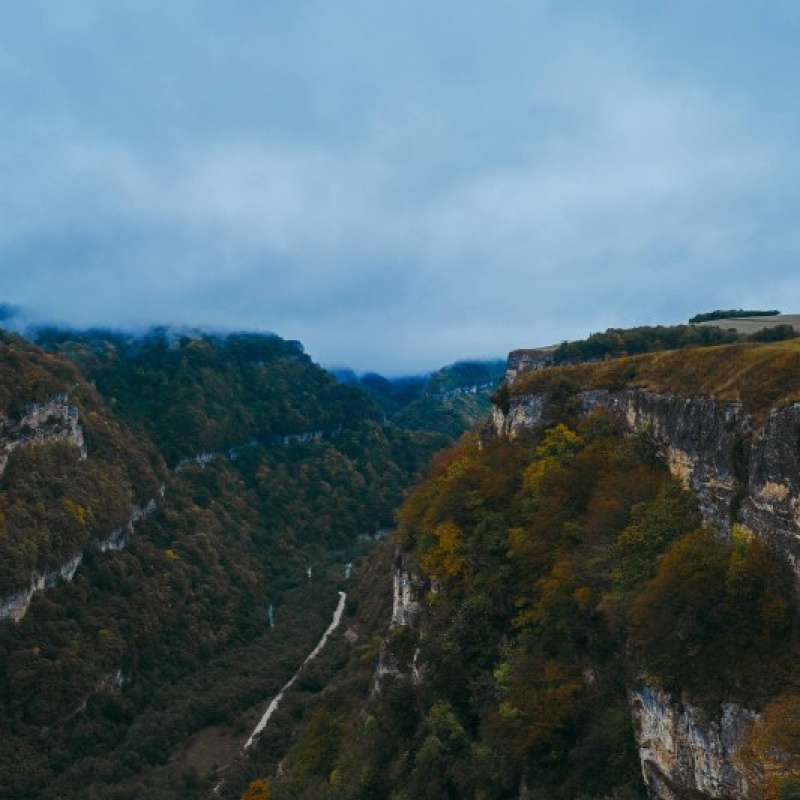 Ислам Шогенов Ислам Шогенов
