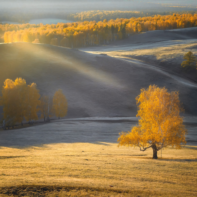 Осенний луч Осенний луч