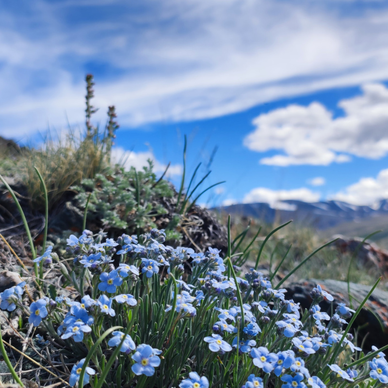Андрей Булгаков, участник фотоконкурса РГО "Самая красивая страна" Андрей Булгаков, участник фотоконкурса РГО "Самая красивая страна"