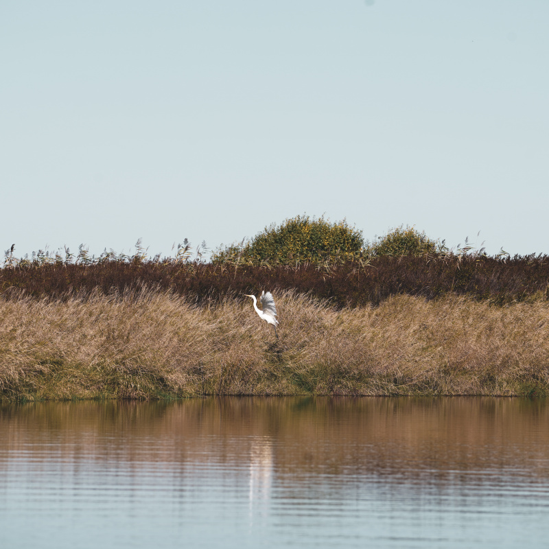 Дмитрий Забуга Дмитрий Забуга