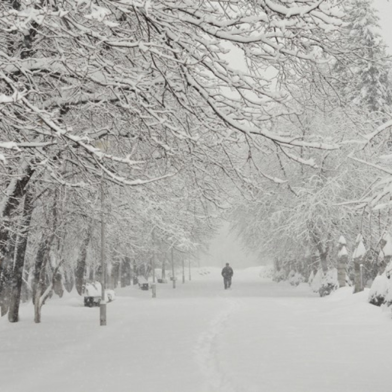 Снегопад в Горно-Алтайске