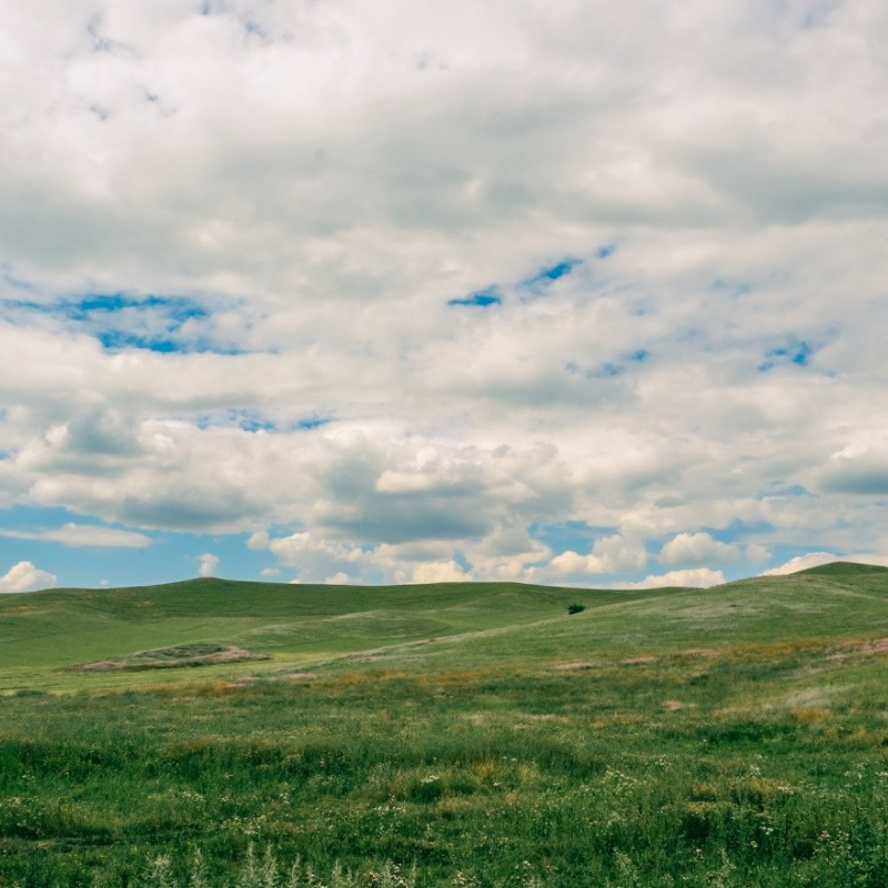 Ислам Шогенов Ислам Шогенов