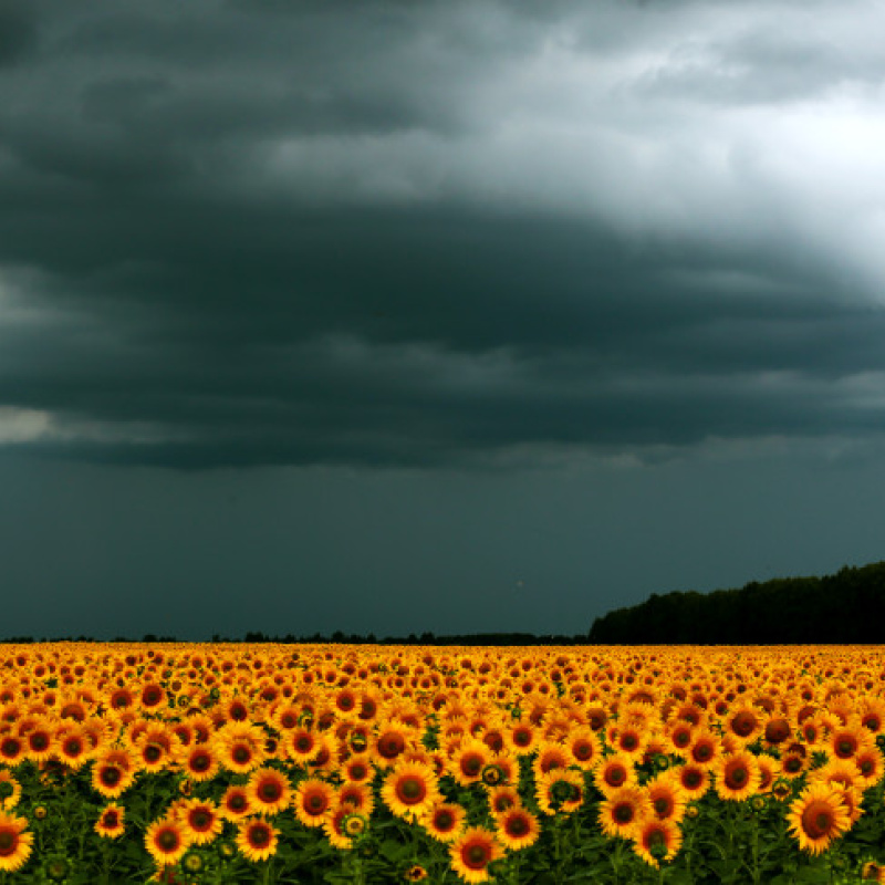 Александр Масенко, участник фотоконкурса РГО "Самая красивая страна"