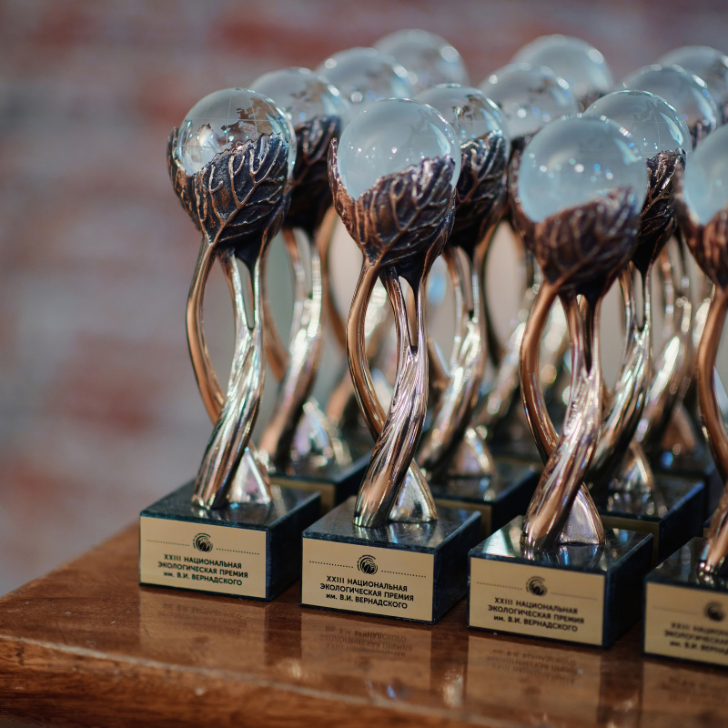 Неправительственный экологический фонд имени В. И. Вернадского