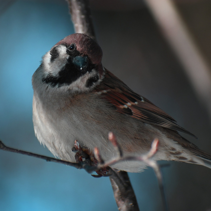 Виктория Калинина, участница фотоконкурса РГО "Самая красивая страна"
