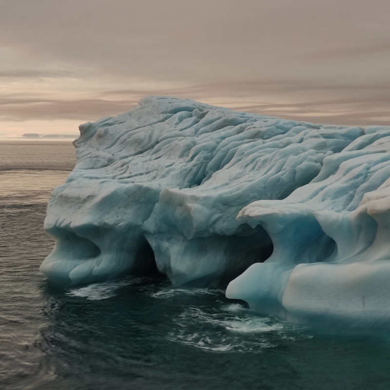 Арктика Арктика