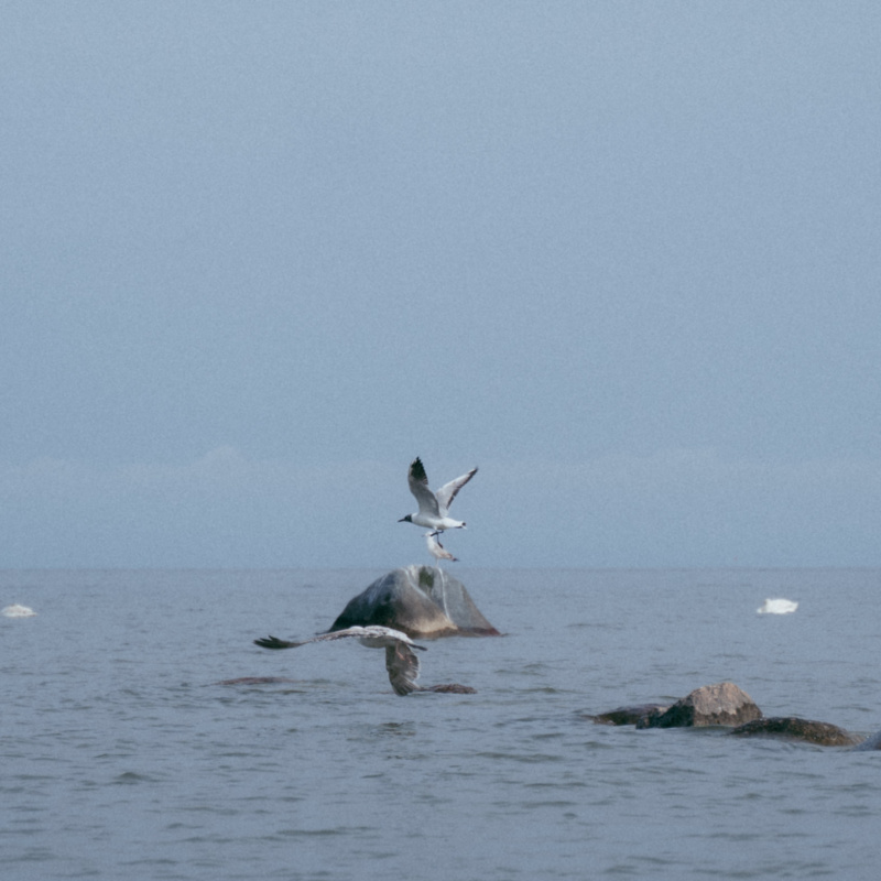 Ксения Чайкина Ксения Чайкина