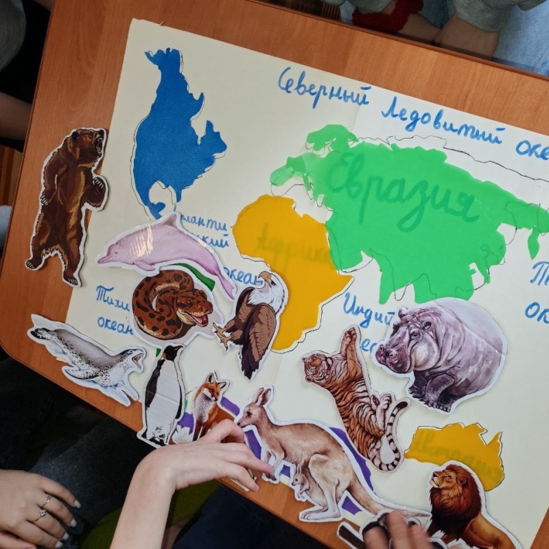 Мария Дудник География - детям: интерактивное занятие по географии для Данила
