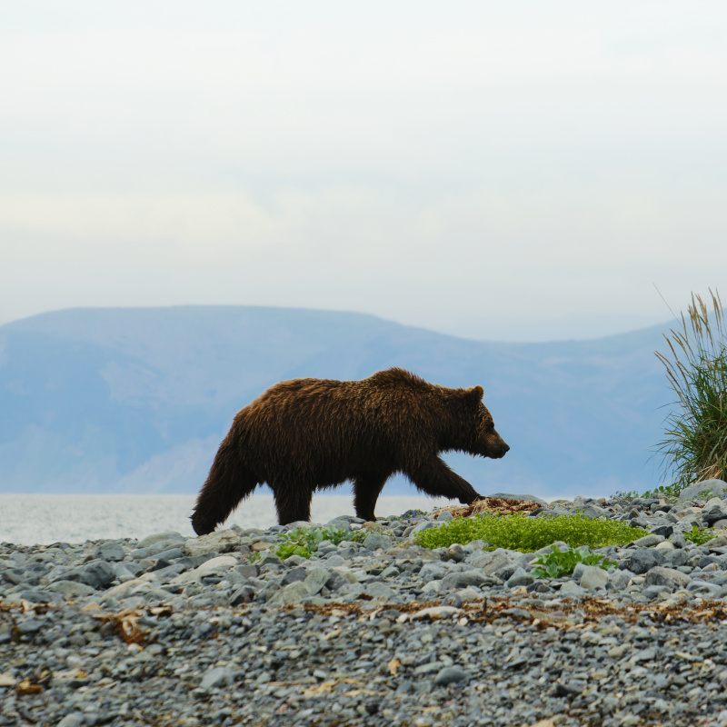 Дмитрий Ханхаев Дмитрий Ханхаев