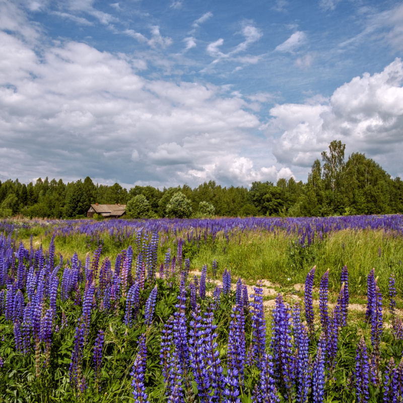Жанна Молотилова, участница фотоконкурса РГО "Самая красивая страна"