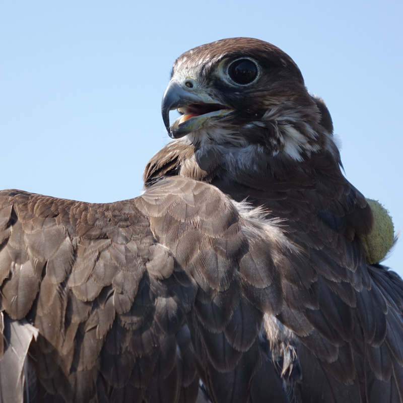 Ульяна Потылицына Ульяна Потылицына