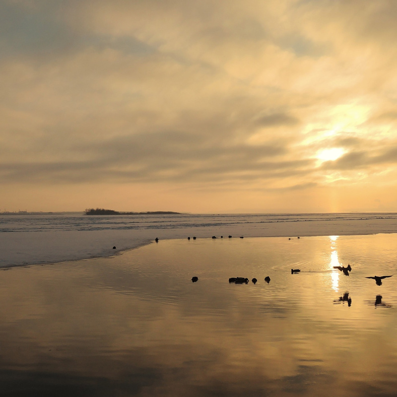 Полынья на Волге Полынья на Волге