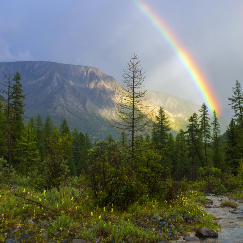 Никита Костылёв, участник фотоконкурса РГО "Самая красивая страна"
