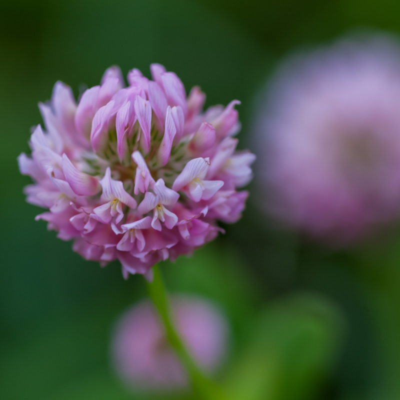 Ярослава Лебедева, участница фотоконкурса РГО "Самая красивая страна"