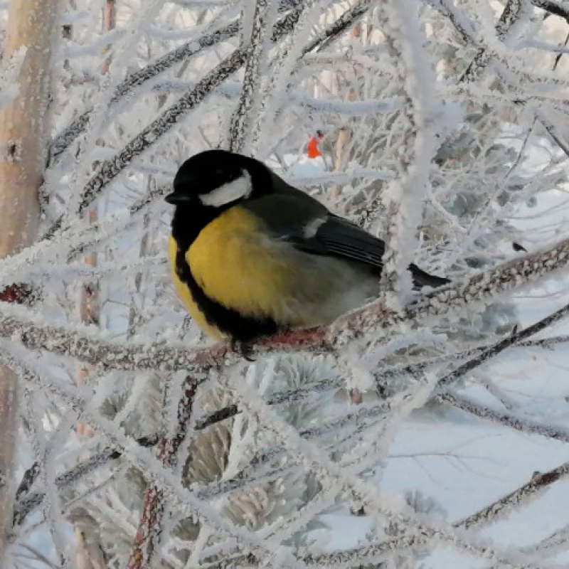 Сергей Соннов, участник фотоконурса РГО "Самая красивая страна" Сергей Соннов, участник фотоконурса РГО "Самая красивая страна"