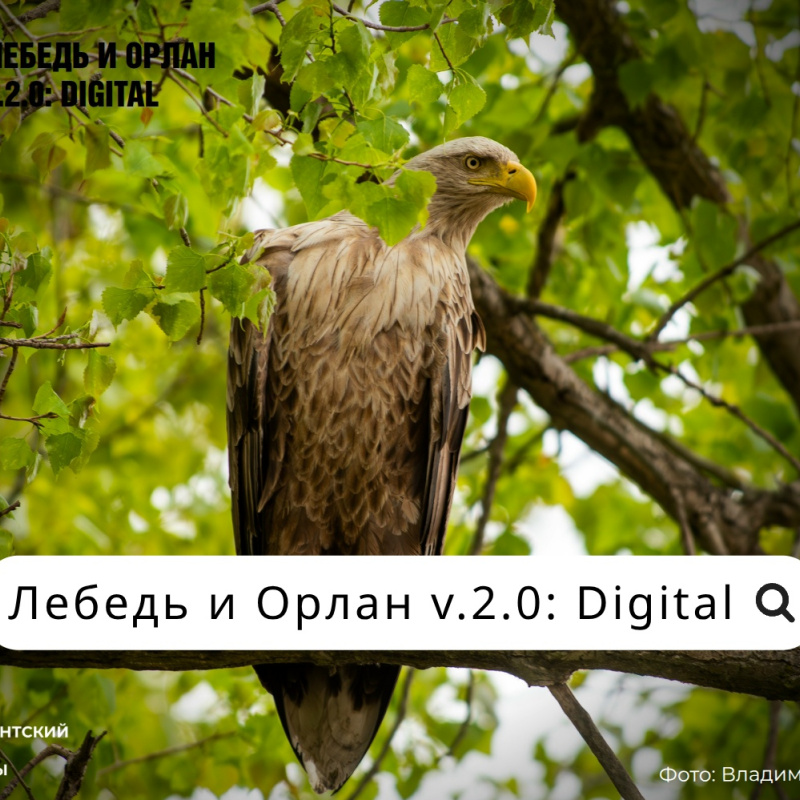 ЛиО 2.0 ЛиО 2.0