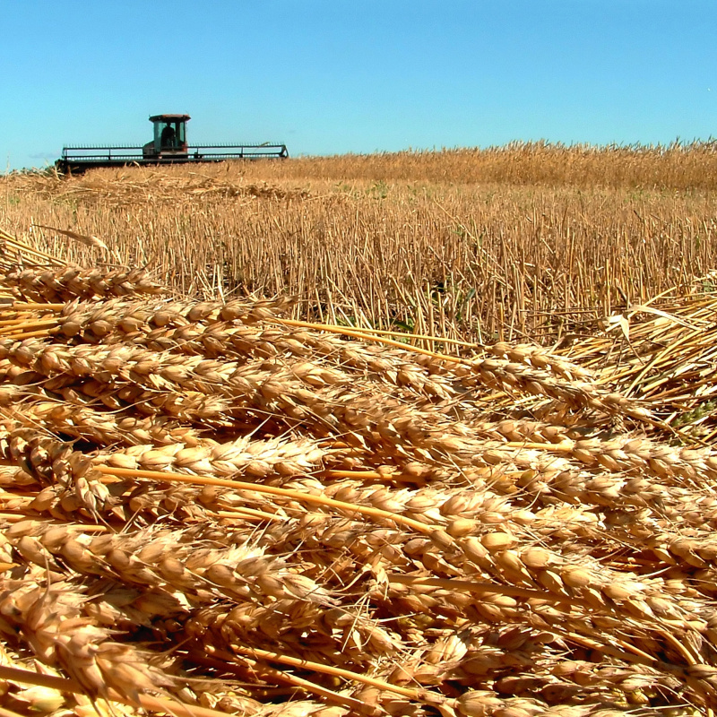 Молодёжный клуб РГО