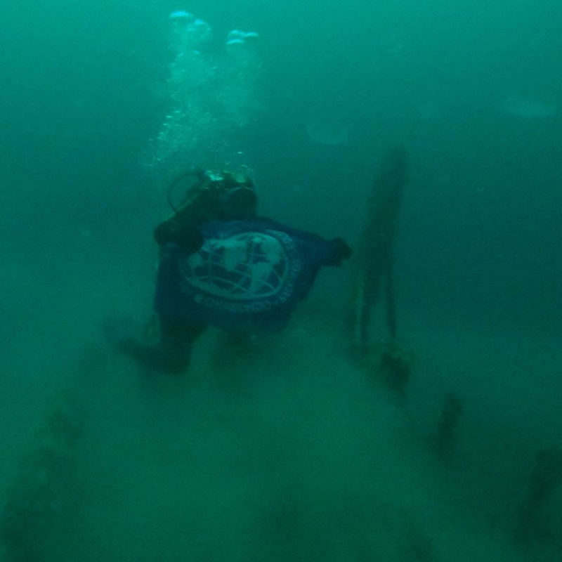 Предоставлено организаторами Предоставлено организаторами