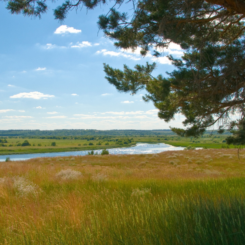 Об итогах онлайн-викторины, посвященной Всемирному Дню заповедников и национальных парков России