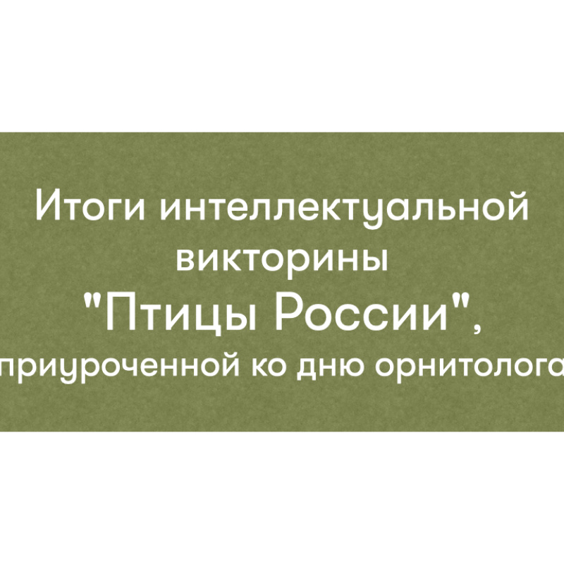 Итоги викторины