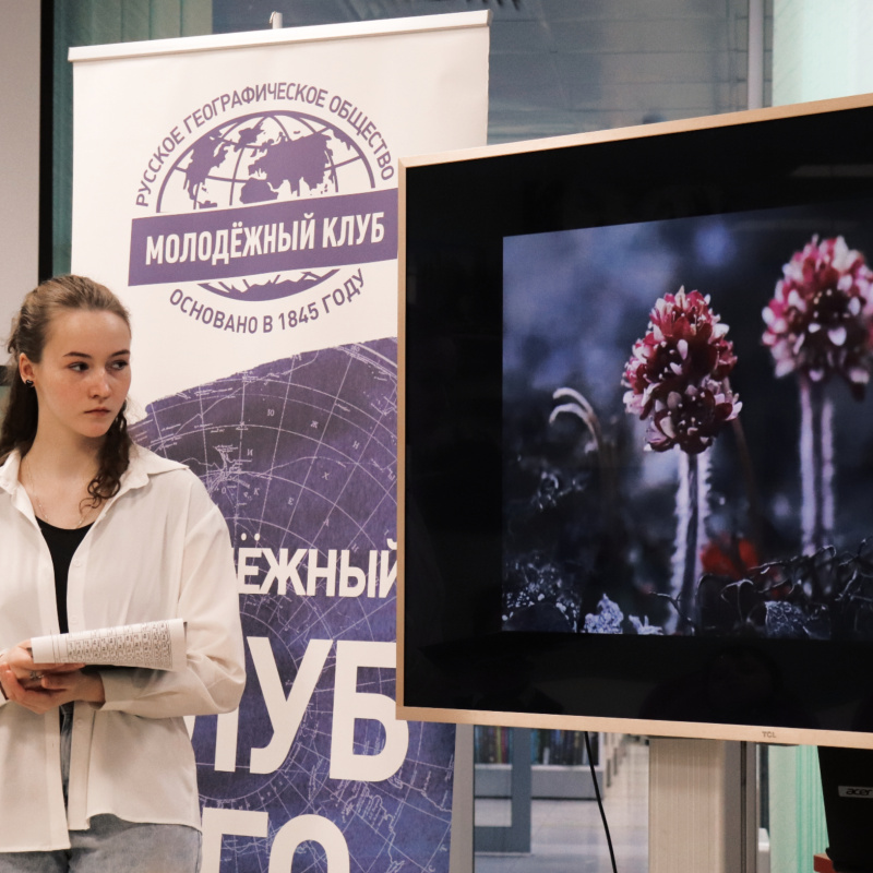 Показ видеоролика об арктических животных и растениях