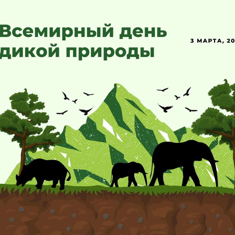 Всемирный день дикой природы