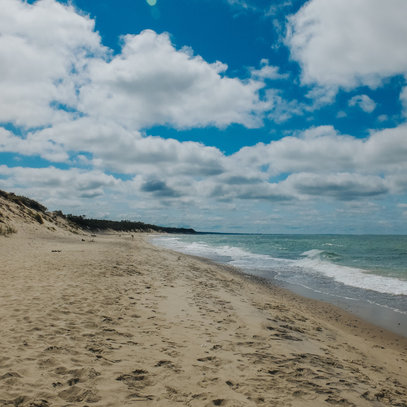 Куршская коса