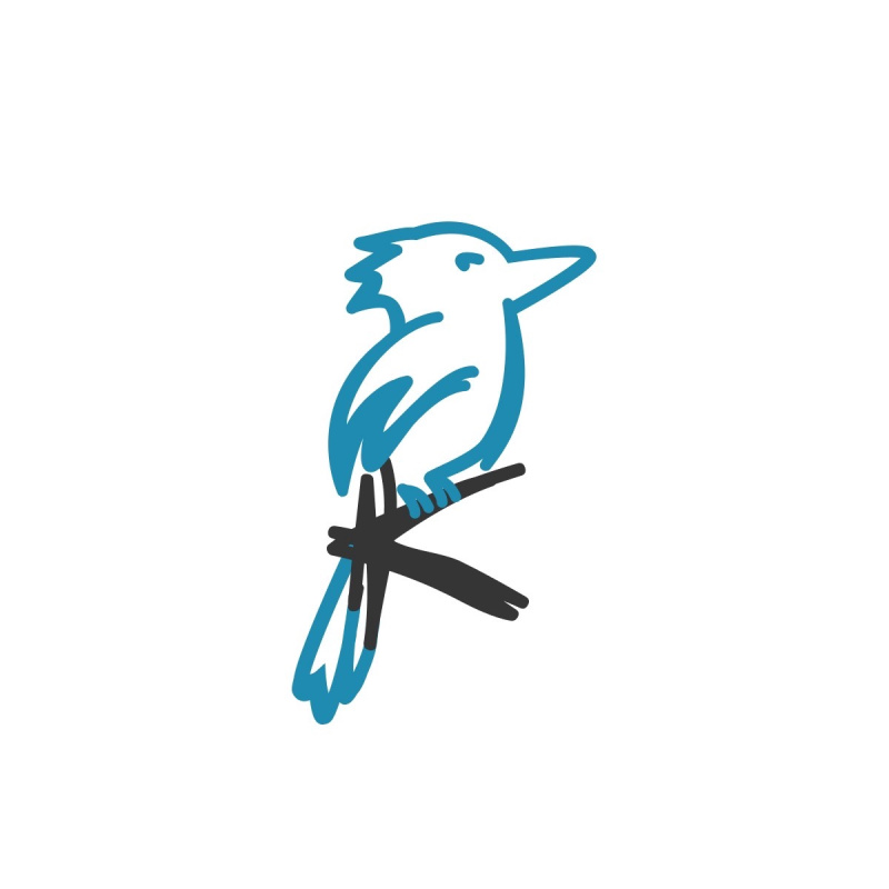 Фестиваль "Кукабарра" Фестиваль "Кукабарра"