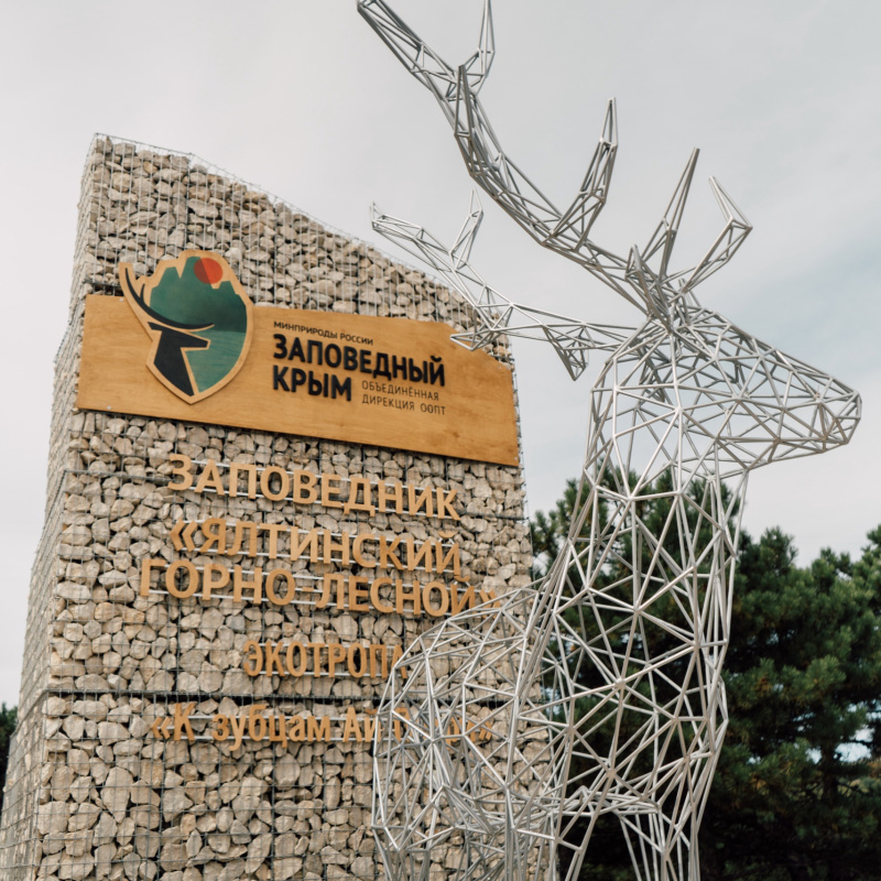 Екатерина Лучина