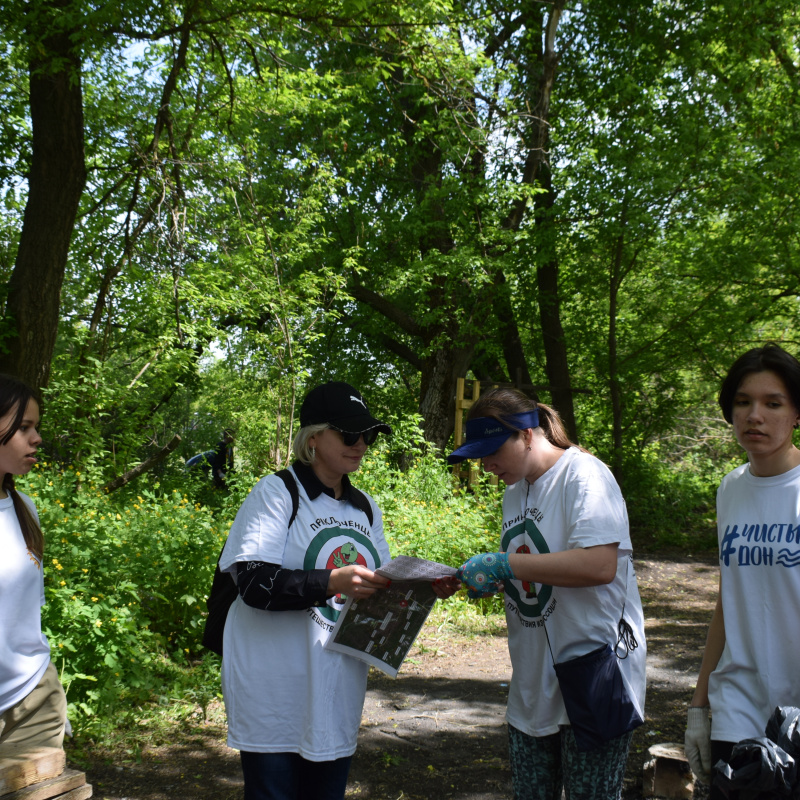 "Экопикник в "Каяловом бору" "Экопикник в "Каяловом бору"