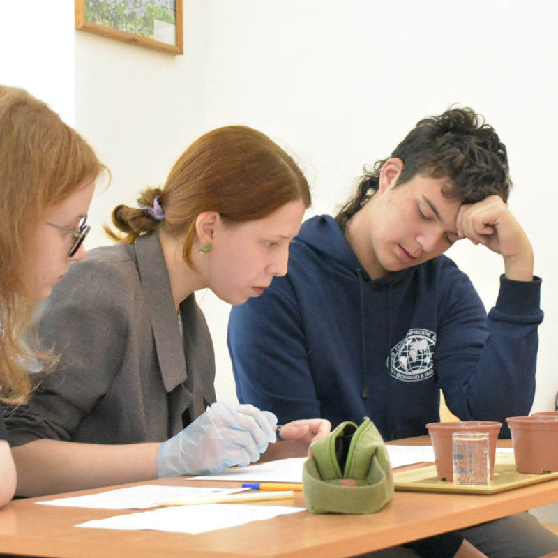 Процесс выполнения заданий на площадке «Почвоведы»