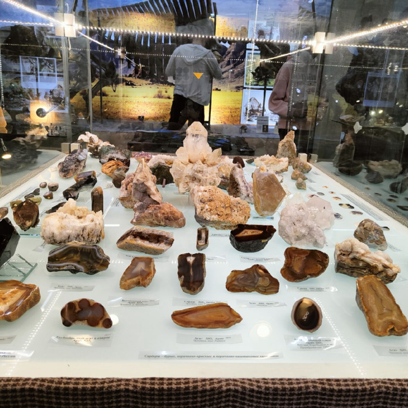 День музеев