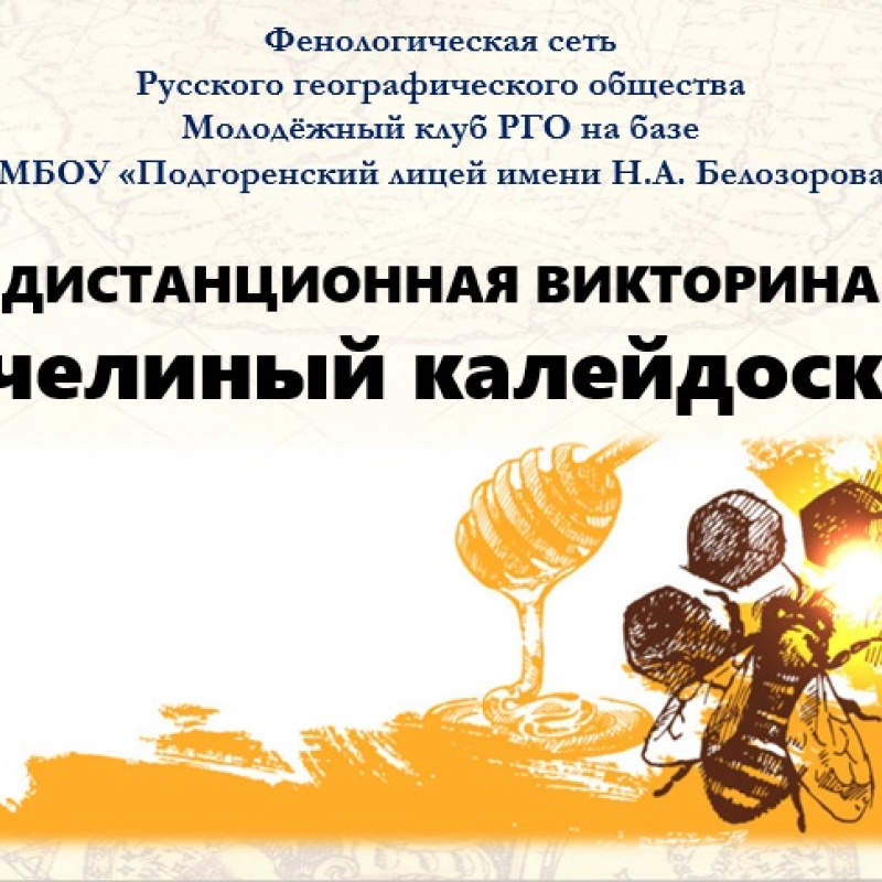 Викторина "Пчелиный калейдоскоп - 2022" Викторина "Пчелиный калейдоскоп - 2022"