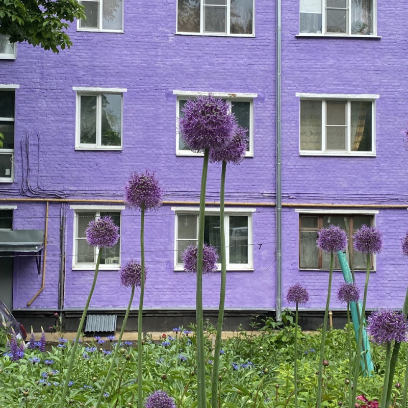 Краски Ефремова. 